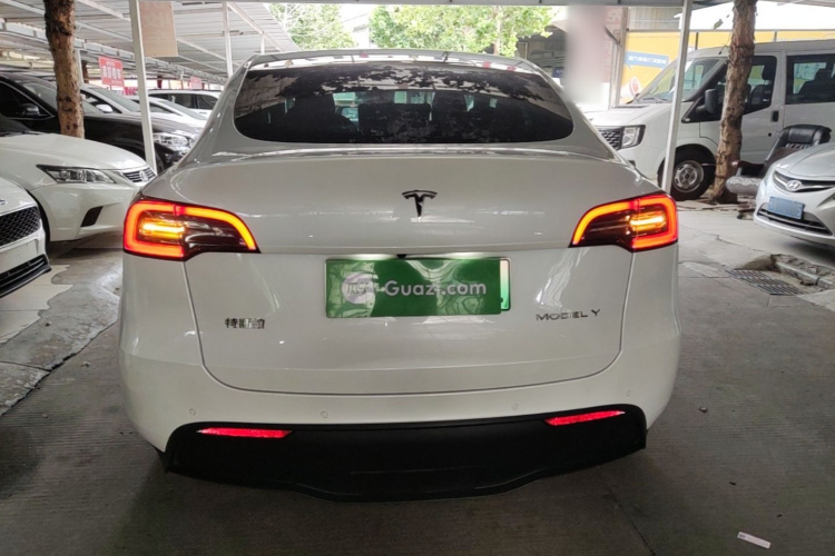 Tesla Model Y 2021 car image #6