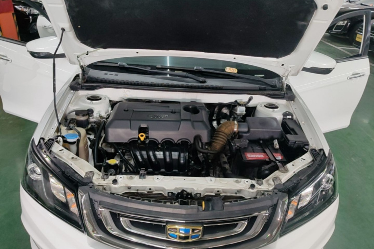 GEELY Emgrand 2018 car image #20