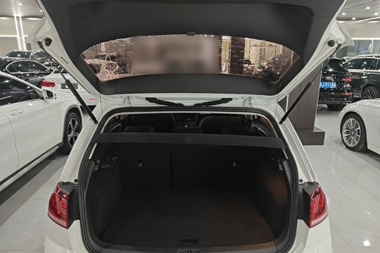 Volkswagen Golf 2019 car image #19