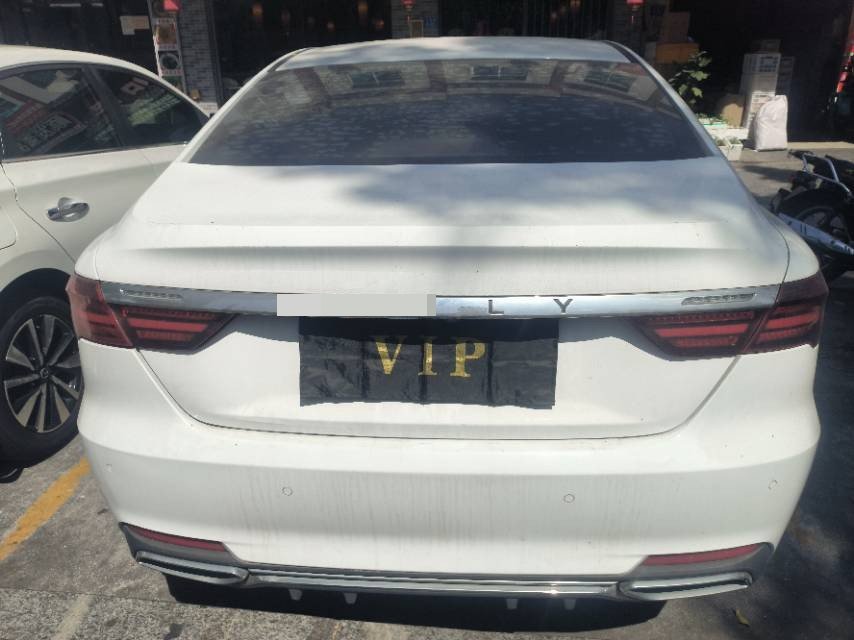GEELY Binray 2020 #5 GEELY Binray 2020 imagen de coche #5