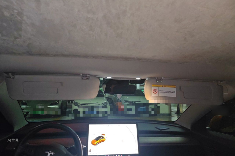 Tesla Model 3 2020 immagine di auto #20
