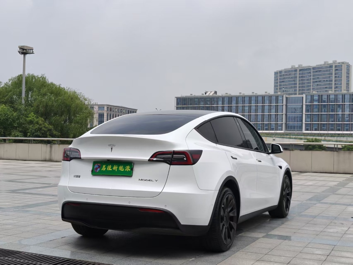 Tesla Model Y 2021 #2 Tesla Model Y 2021 car image #2