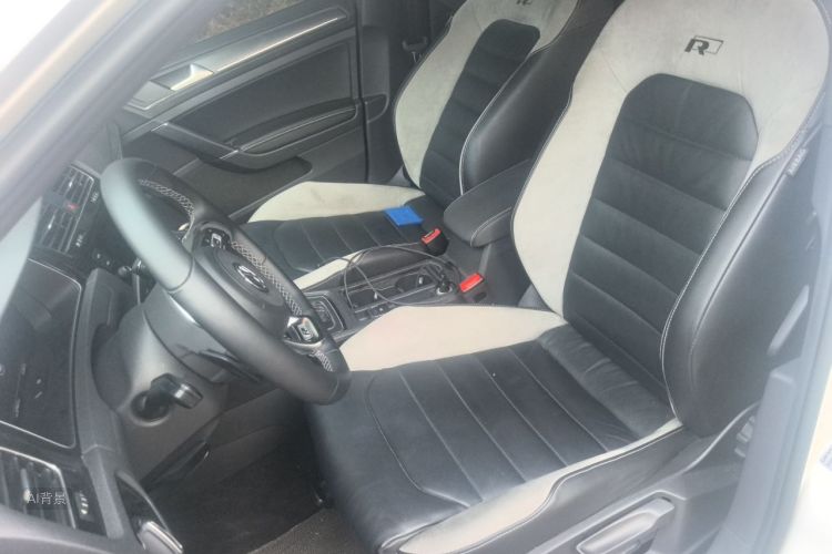 Volkswagen Golf 2019 #17 Volkswagen Golf 2019 car image #17