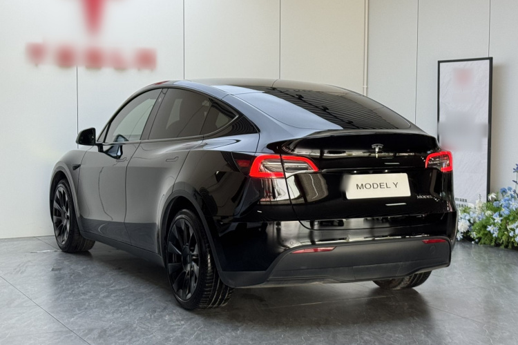 Tesla Model Y 2023 car image #5