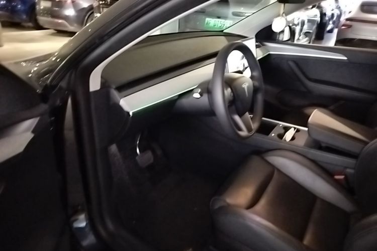 Tesla Model Y 2024 car image #16