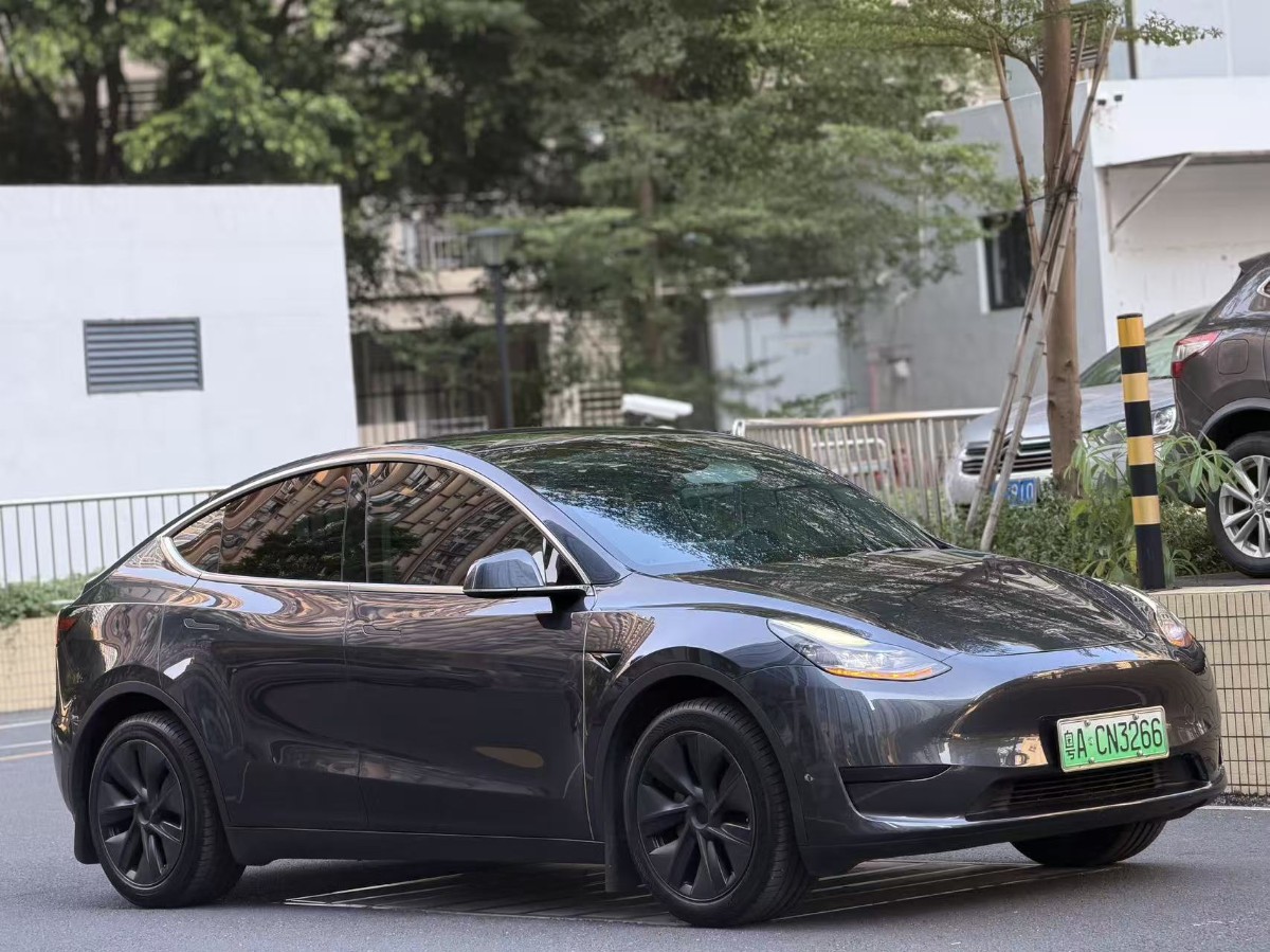 Tesla Model Y 2024 Tesla Model Y 2024 изображение автомобиля