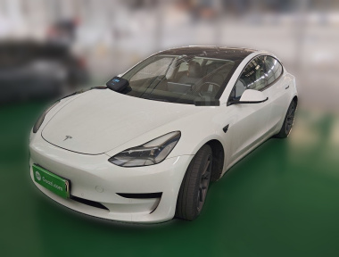 Tesla Model 3 2021 Tesla Model 3 2021 car image