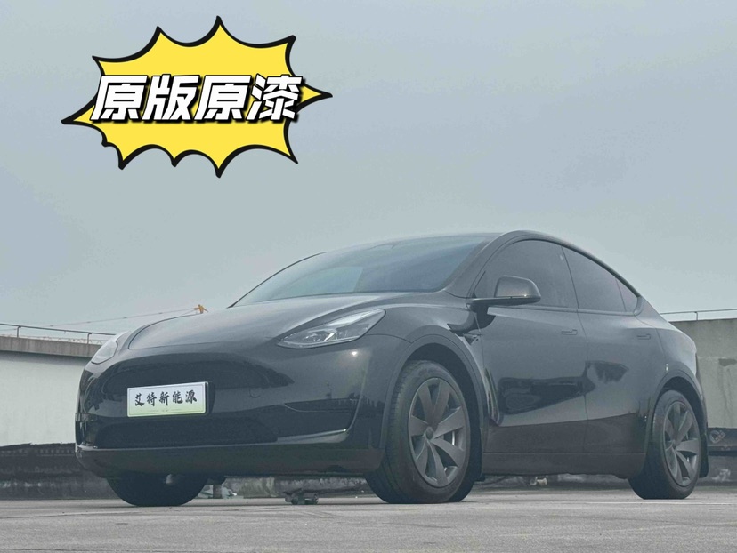 Tesla Model Y 2023 car image 