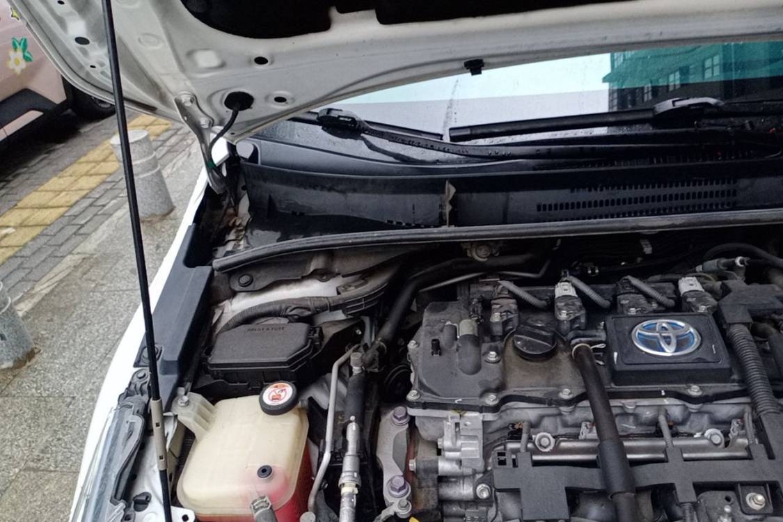 Toyota Corolla 2019 #11 Toyota Corolla 2019 car image #11