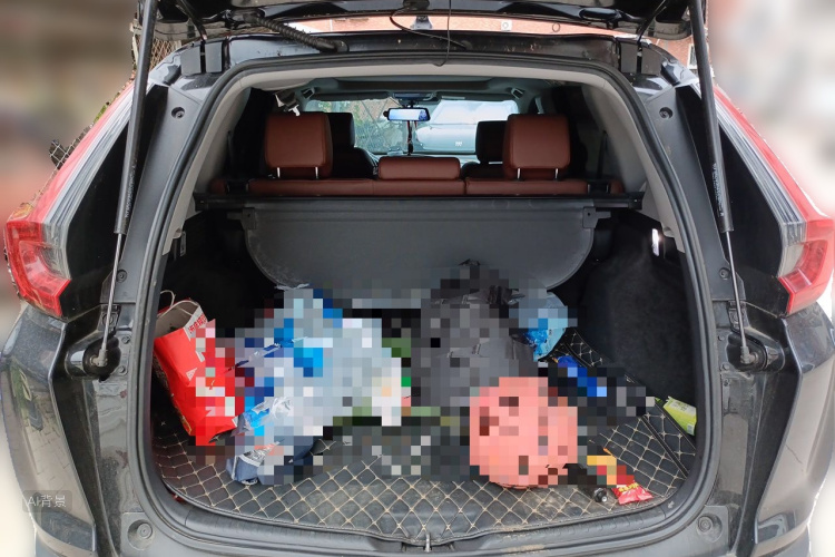 Honda CR-V 2022 car image #21