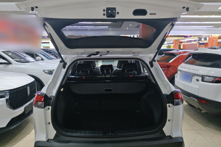Toyota Corolla Cross 2023 car image #19