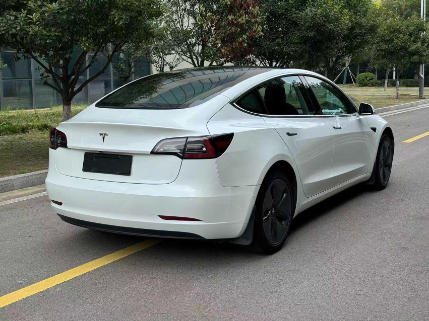 Tesla Model 3 (Imported) 2020 #4 Tesla Model 3 (Imported) 2020 immagine di auto #4