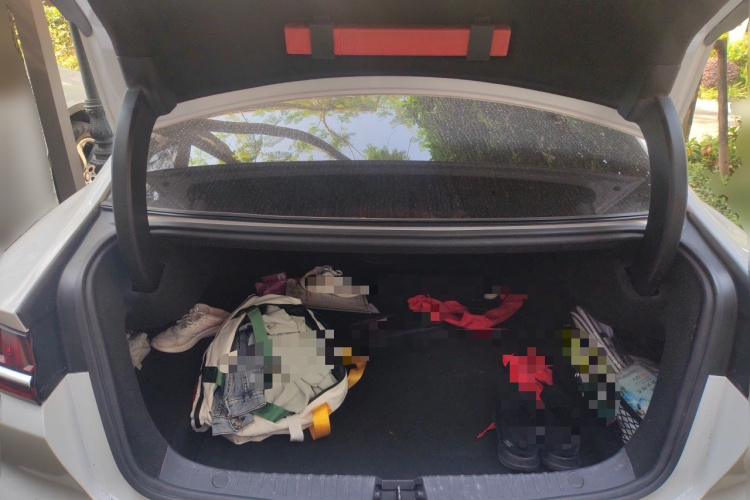 BYD Han 2021 #21 BYD Han 2021 imagen de coche #21