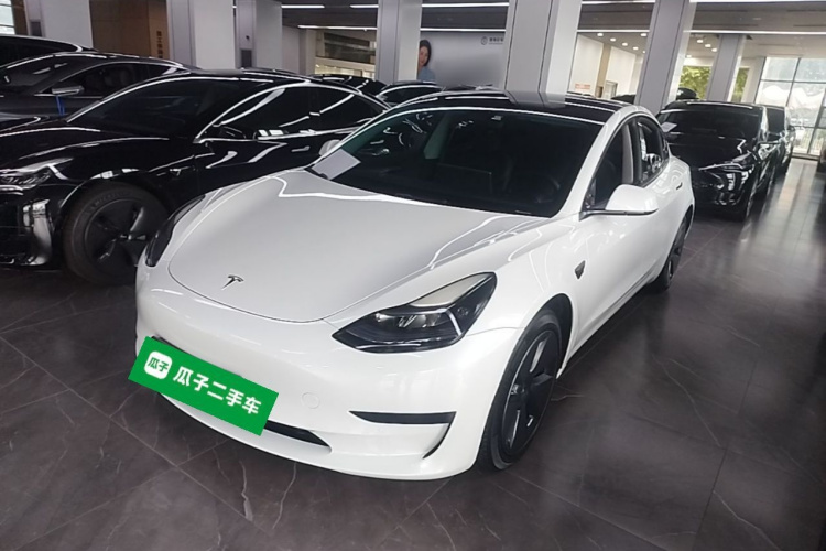 Tesla Model 3 2023 #2 Tesla Model 3 2023 car image #2