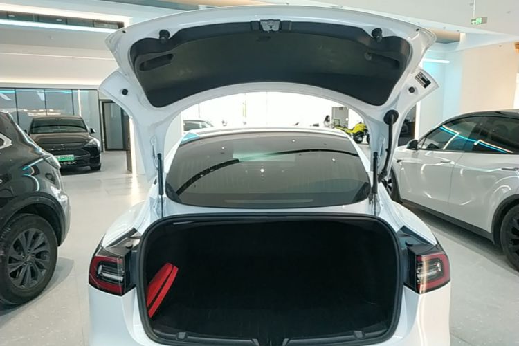 Tesla Model 3 2020 #19 Tesla Model 3 2020 car image #19