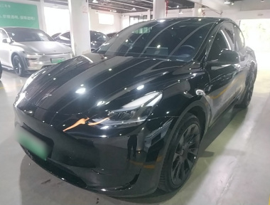 Tesla Model Y 2024 car image 