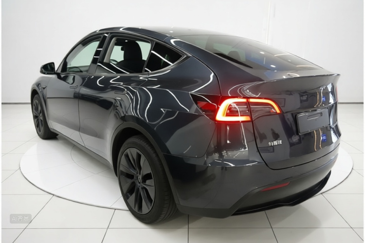 Tesla Model Y 2024 car image #5