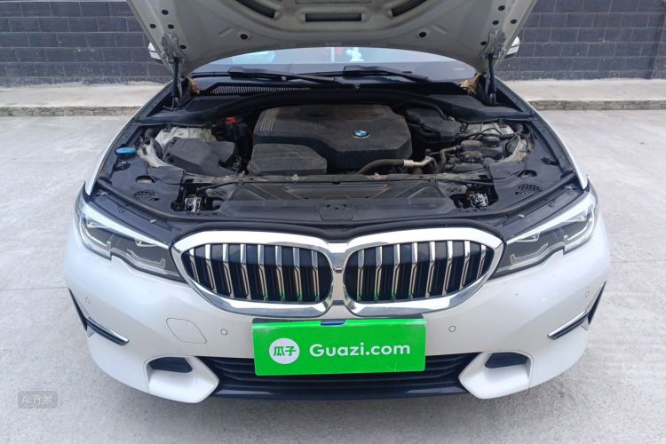 BMW 3 Series 2019 car image #22