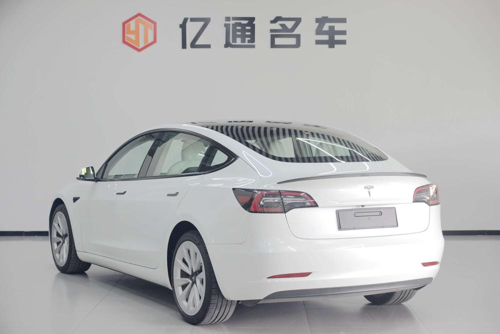 Tesla Model 3 2021 imagem de carro #4