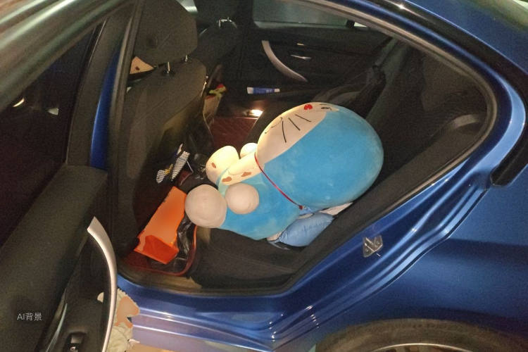 BMW 3 Series 2017 car image #19