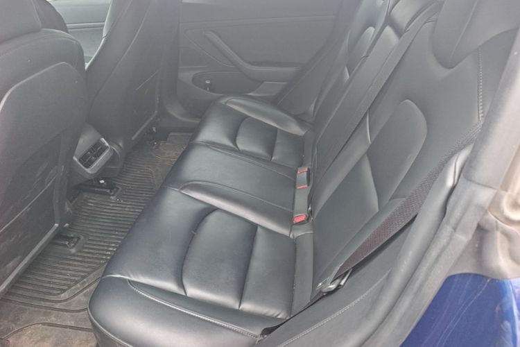 Tesla Model 3 2020 car image #17