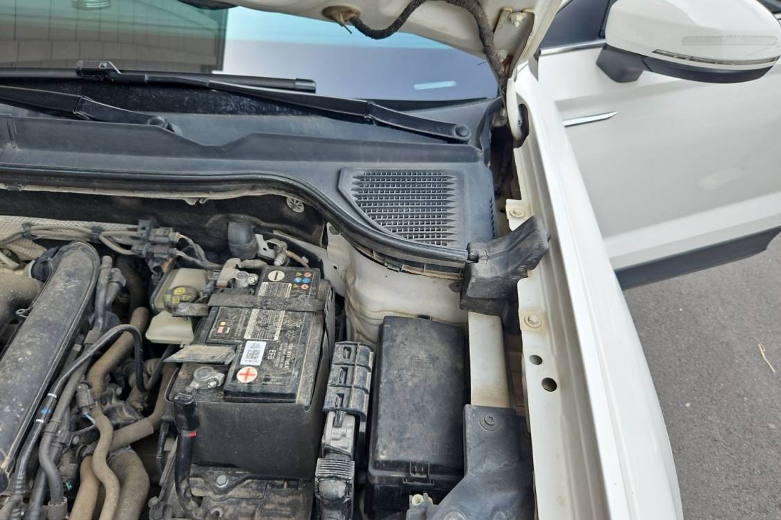 Volkswagen Tharu 2020 car image #12
