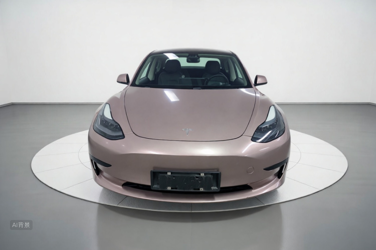 Tesla Model 3 2021 car image #3