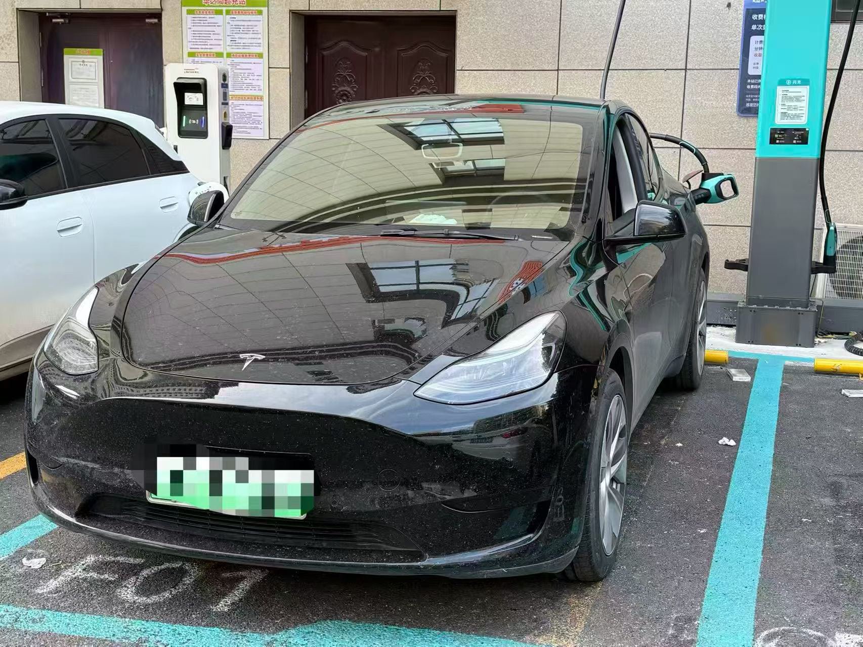 Tesla Model Y 2022 Tesla Model Y 2022 car image