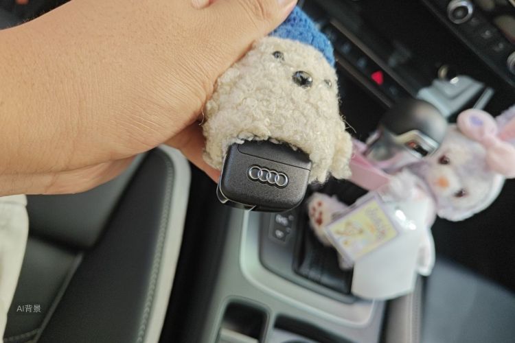 Audi Q3 2023 car image #10