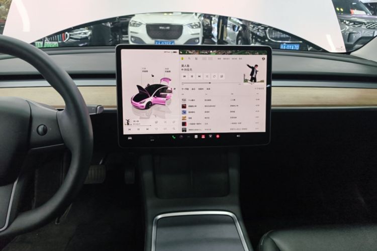 Tesla Model 3 2022 immagine di auto #17