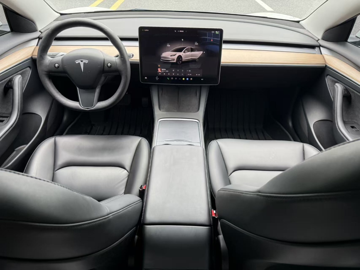 Tesla Model 3 2022 #6 Tesla Model 3 2022 car image #6