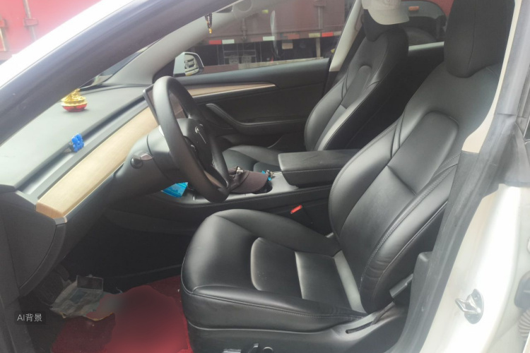 Tesla Model 3 2021 immagine di auto #17
