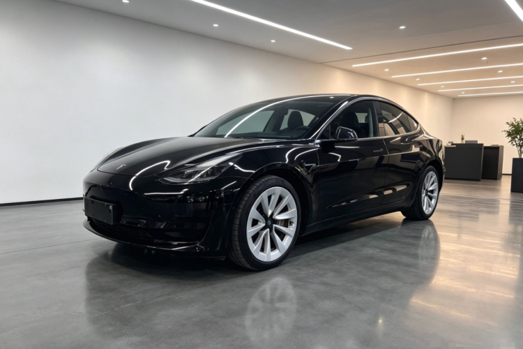 Tesla Model 3 2023 #2 Tesla Model 3 2023 car image #2