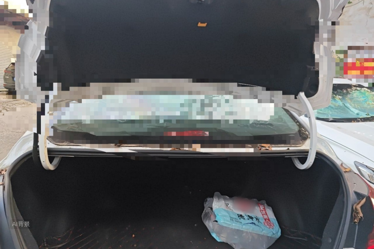 GEELY Emgrand 2020 car image #21