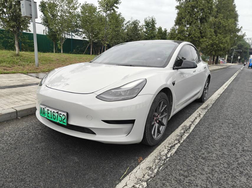 Tesla Model 3 2021 Tesla Model 3 2021 car image
