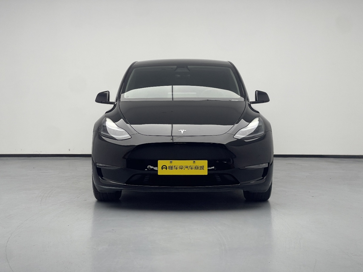 Tesla Model Y 2021 #2 Tesla Model Y 2021 car image #2