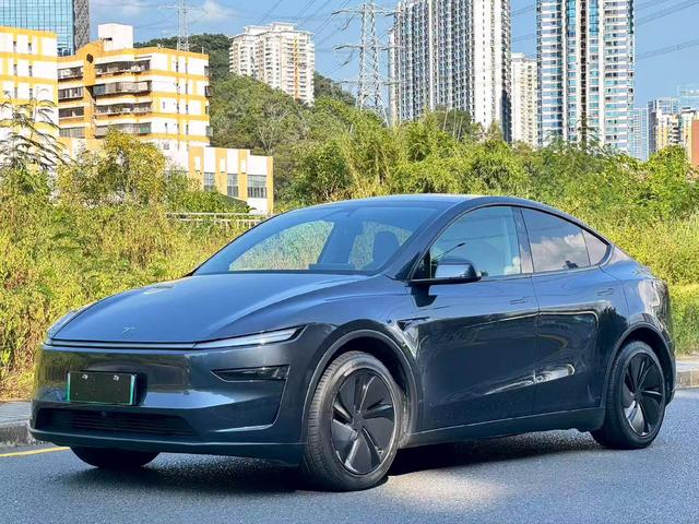 Tesla Model Y 2025 car image #11