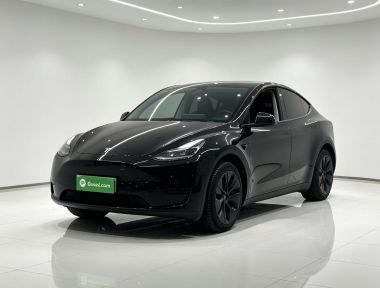 Tesla Model Y 2023 car image 