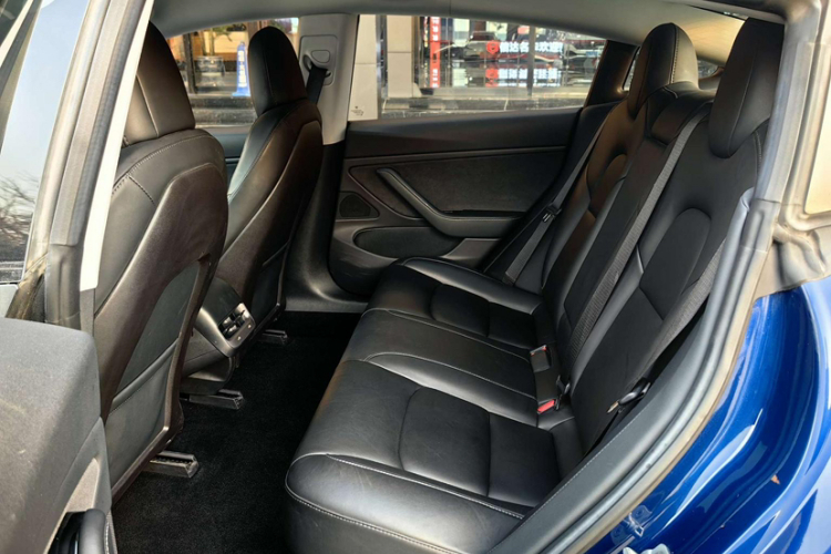 Tesla Model 3 2019 #14 Tesla Model 3 2019 car image #14