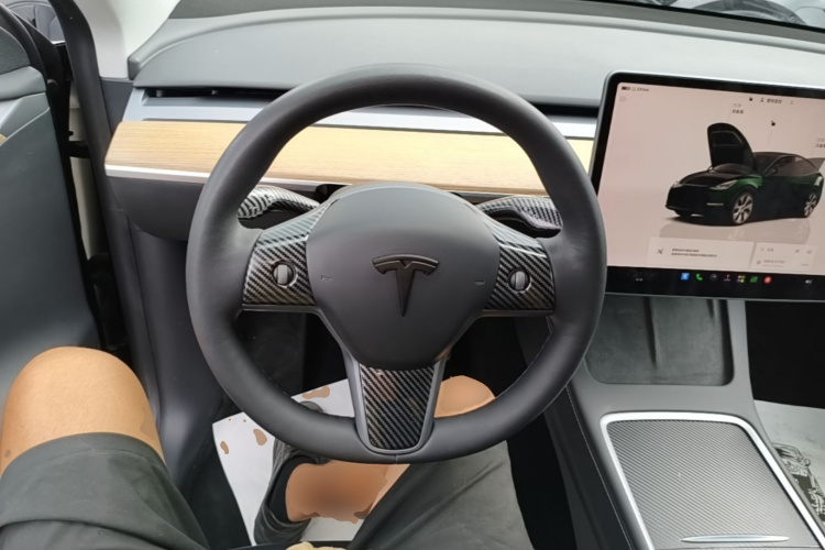 Tesla Model Y 2022 #15 Tesla Model Y 2022 car image #15