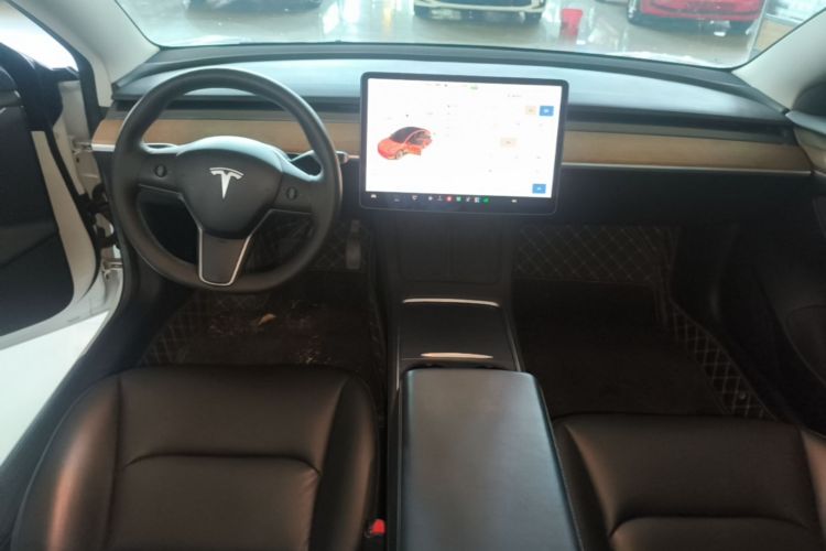 Tesla Model 3 2021 car image #10