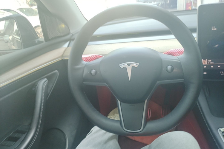 Tesla Model Y 2023 #11 Tesla Model Y 2023 car image #11