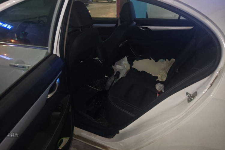 GEELY Emgrand 2019 #19 GEELY Emgrand 2019 car image #19
