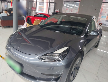 Tesla Model 3 2021 Tesla Model 3 2021 immagine di auto