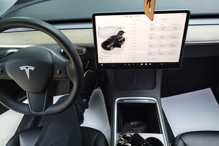 Tesla Model Y 2022 car image #10