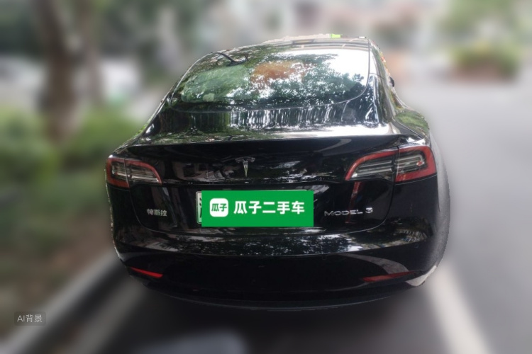 Tesla Model 3 2021 car image #6