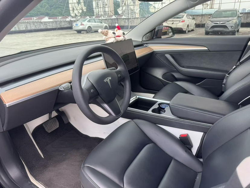 Tesla Model 3 2023 #9 Tesla Model 3 2023 car image #9