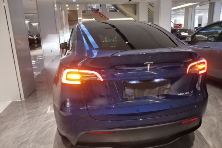 Tesla Model Y 2023 #6 Tesla Model Y 2023 car image #6
