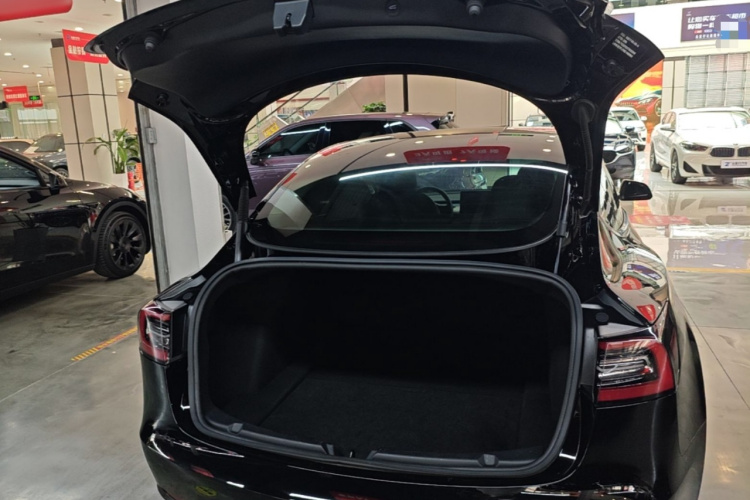 Tesla Model 3 2021 #19 Tesla Model 3 2021 immagine di auto #19