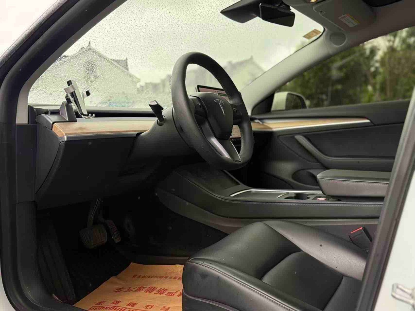 Tesla Model 3 2021 #5 Tesla Model 3 2021 car image #5